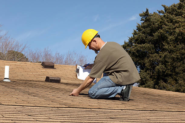 Best Roof Moss and Algae Removal  in St Elmo, IL