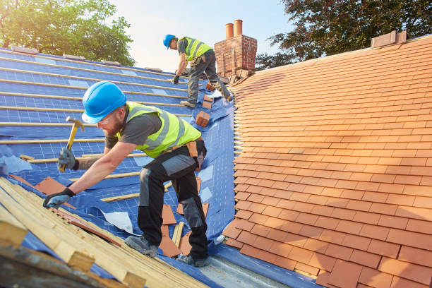 Best Roof Ventilation Installation  in St Elmo, IL